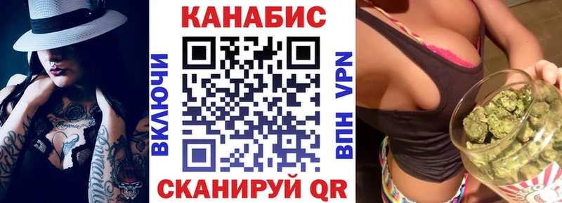 купить наркоту  Снежногорск  mega как войти  Конопля сатива 